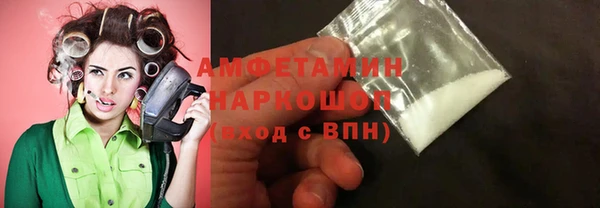 соль ск Дмитриев
