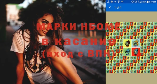 соль ск Дмитриев
