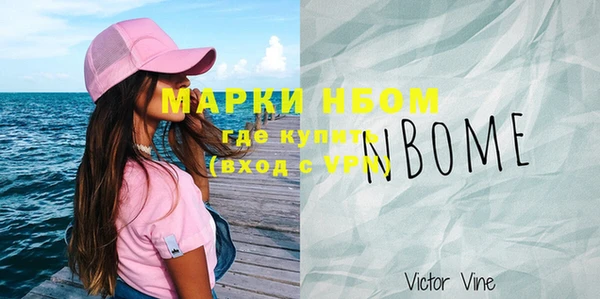соль ск Дмитриев