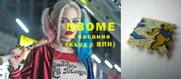 соль ск Дмитриев