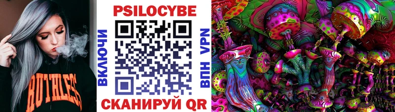 Купить где  Сортавала  Галлюциногенные грибы Cubensis 